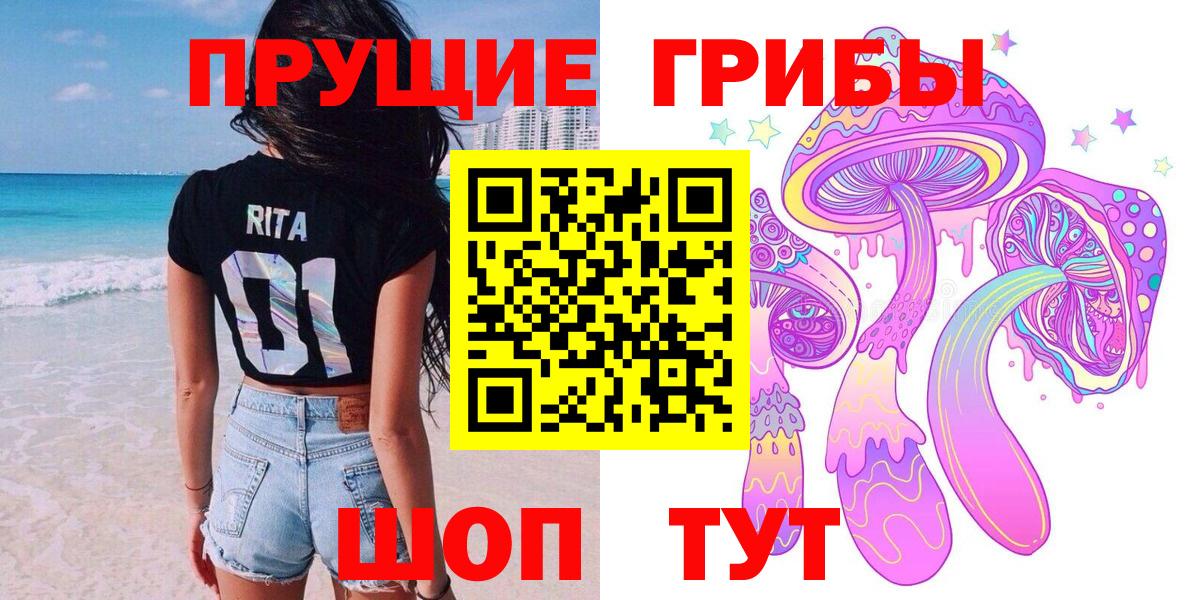 Псилоцибиновые грибы Psilocybe  Вход с VPN  Псилоцибиновые грибы Psilocybe  Тара 
